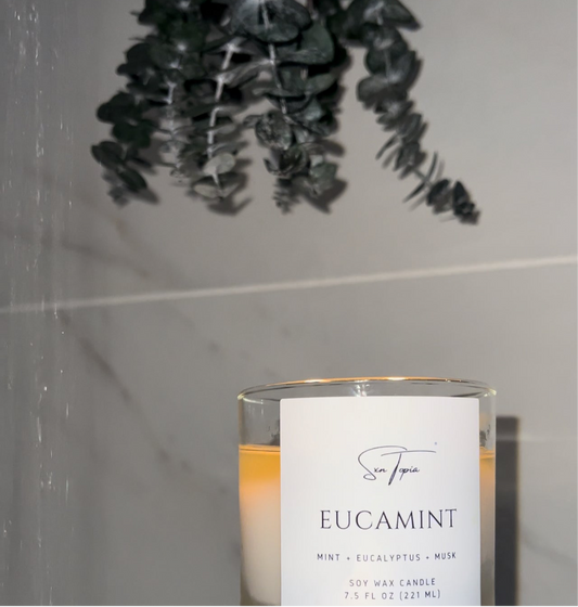 EUCAMINT